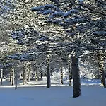 Calm Blidinje