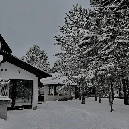 Calm Blidinje