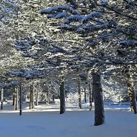 Calm Blidinje